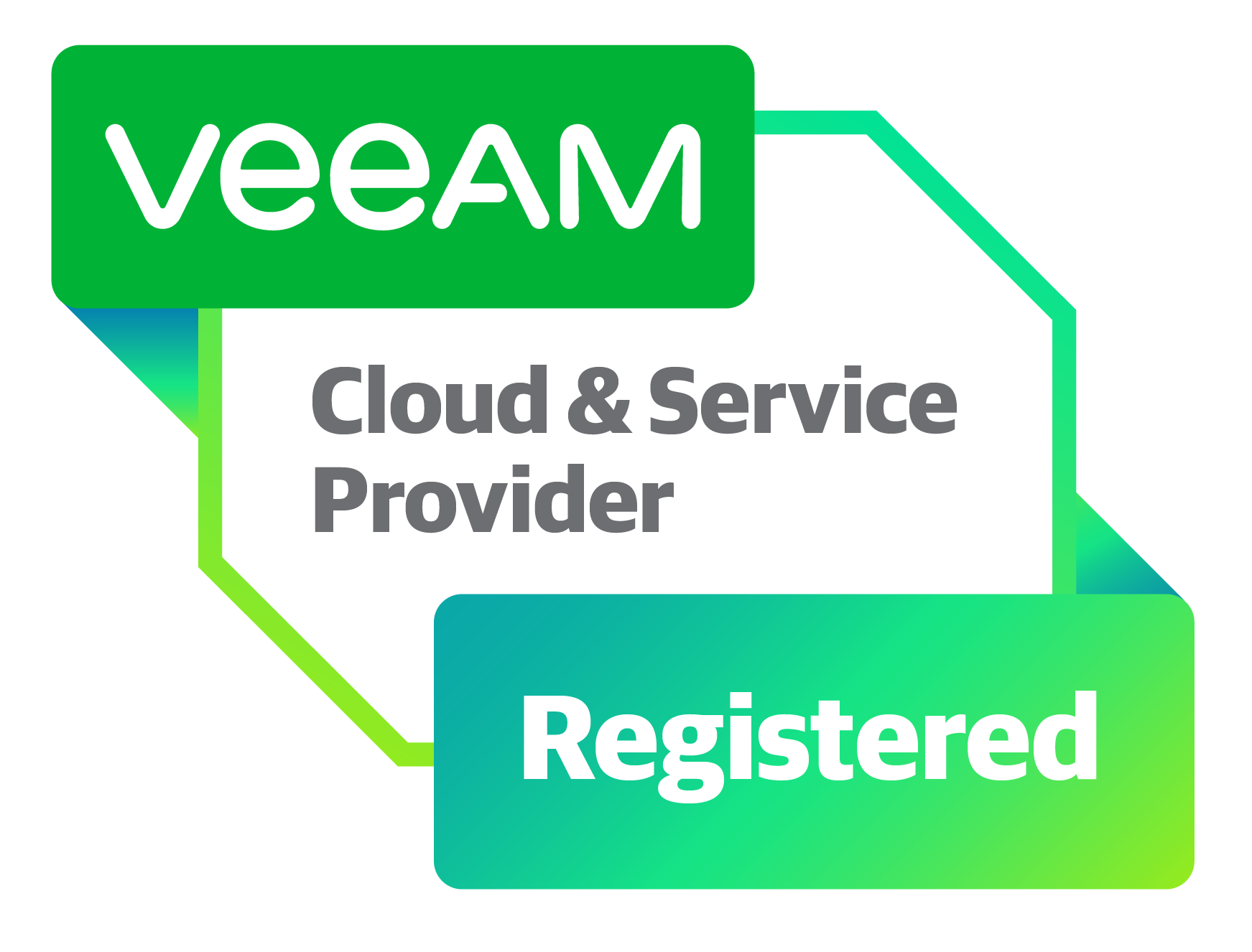 Veeam Silver Pro Partner